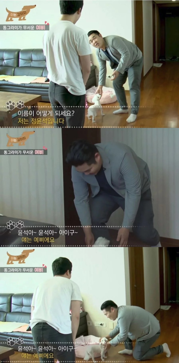 강아지 이름에 편견없는 사람