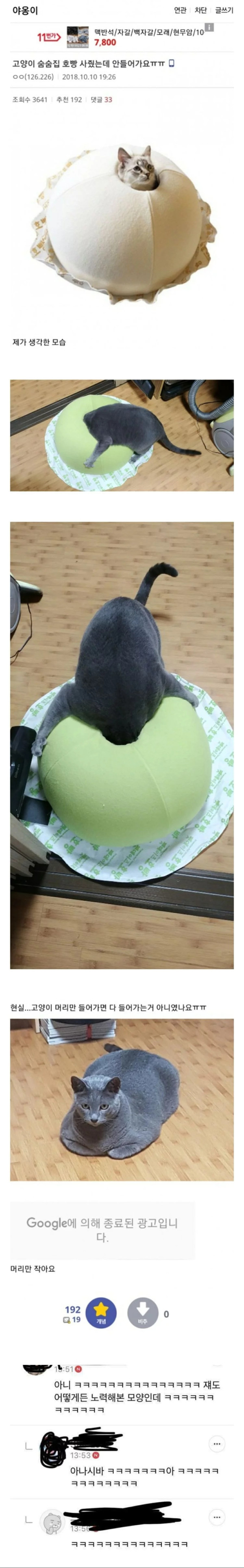 고양이집을 사줬는데 고양이가 안들어가요ㅠㅠ