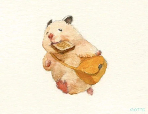 햄스터가 사람처럼 산다면