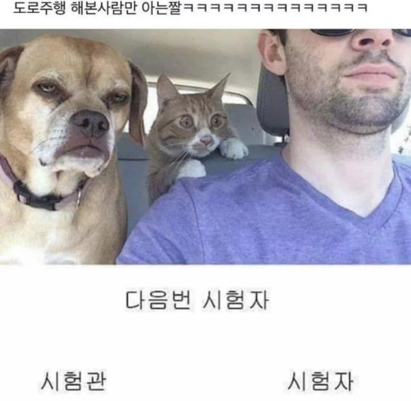 도로주행 해본 사람만 아는짤ㅋㅋㅋㅋㅋㅋㅋㅋ