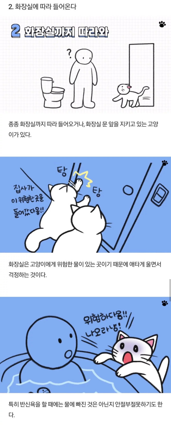 고양이가 당신을 아기로 여긴다는 증거