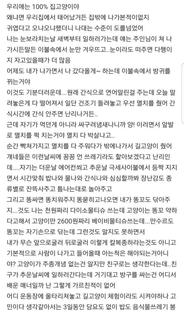 고양이가 이렇게 싹수가 없어도 되는거야?