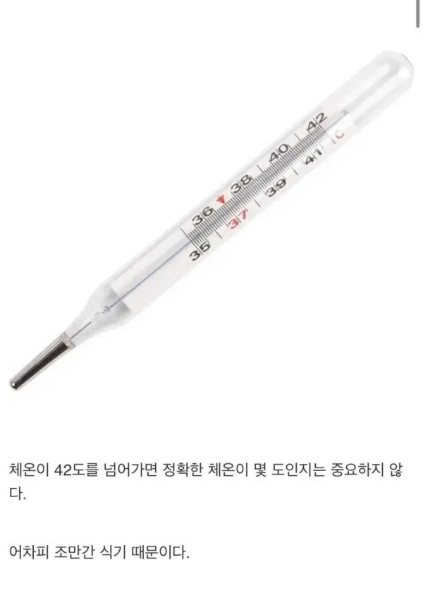 체온계가 42도 까지만 표시되는 이유